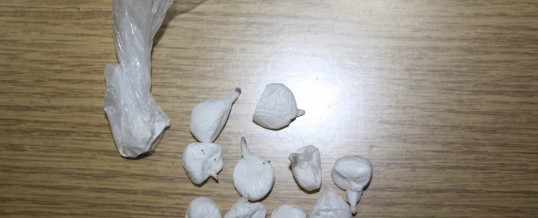 Pronađeno i oduzeto 18 manjih pakovanja opojne droge