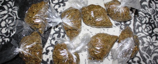 U pretresu u Tuzli pronađeno više od pola kg opojne droge Cannabis